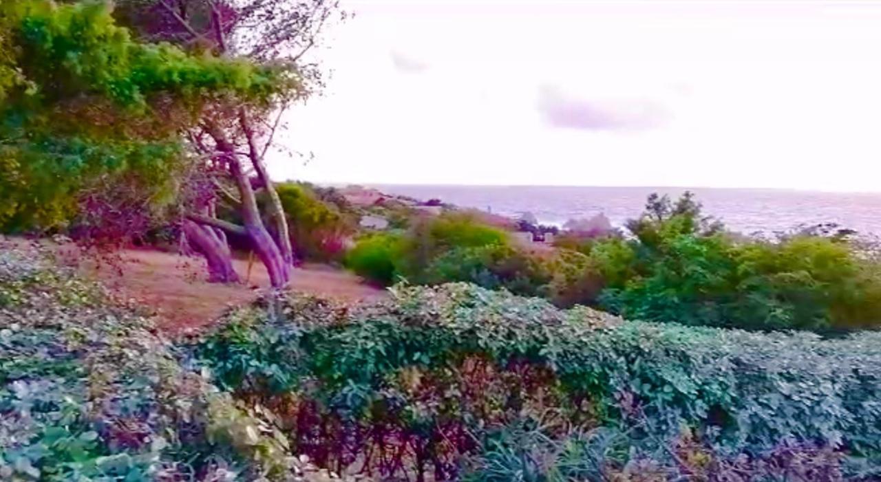 Villetta Dei Ginepri Costa Paradiso Kültér fotó