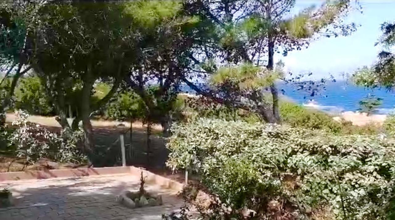Villetta Dei Ginepri Costa Paradiso Kültér fotó