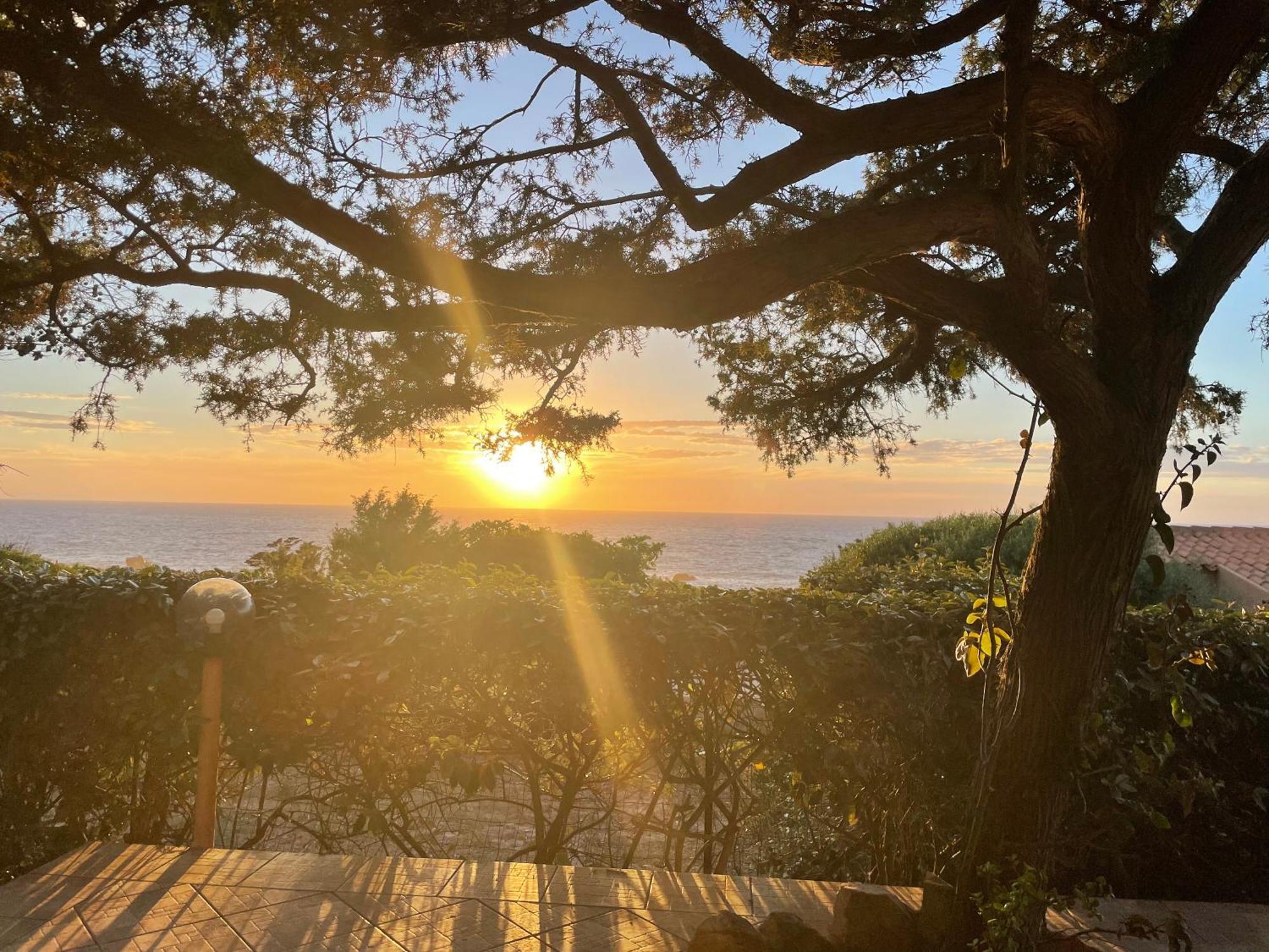 Villetta Dei Ginepri Costa Paradiso Kültér fotó